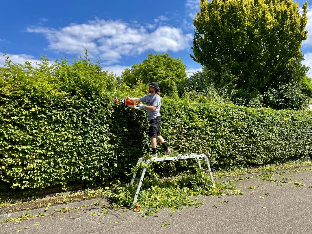Professioneller Heckenschnitt und Gartenpflege in Stuttgart durch Clean all and more.